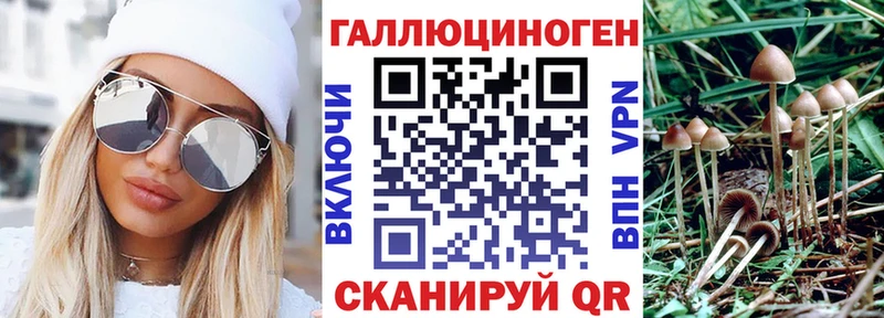 Купить  Великий Новгород  Псилоцибиновые грибы MAGIC MUSHROOMS 